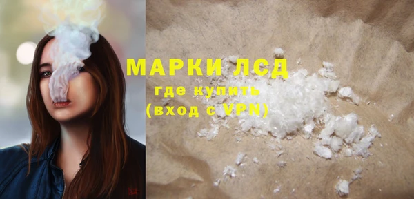 гидра Вязьма