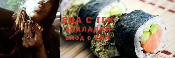 гидра Вязьма