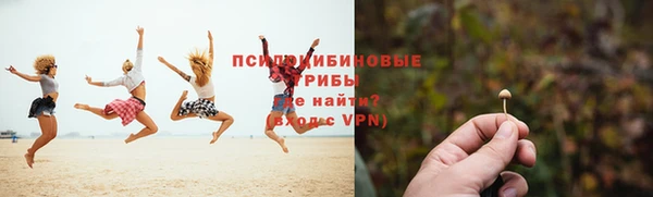 гидра Вязьма