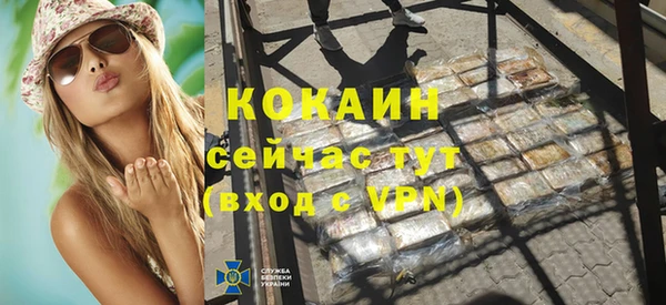 гидра Вязьма