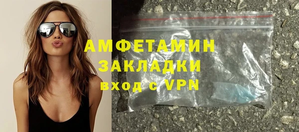 гидра Вязьма