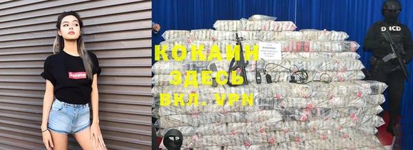 гидра Вязьма