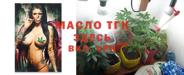 индика Гусиноозёрск