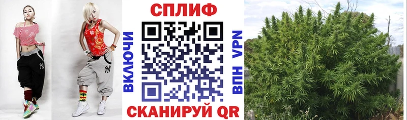 Шишки марихуана тримм  как найти закладки  Нефтегорск 